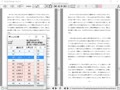 PDF比較補助ツール「ぱたぱたReader」デモ動画