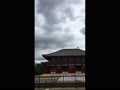 奈良、興福寺、中金堂